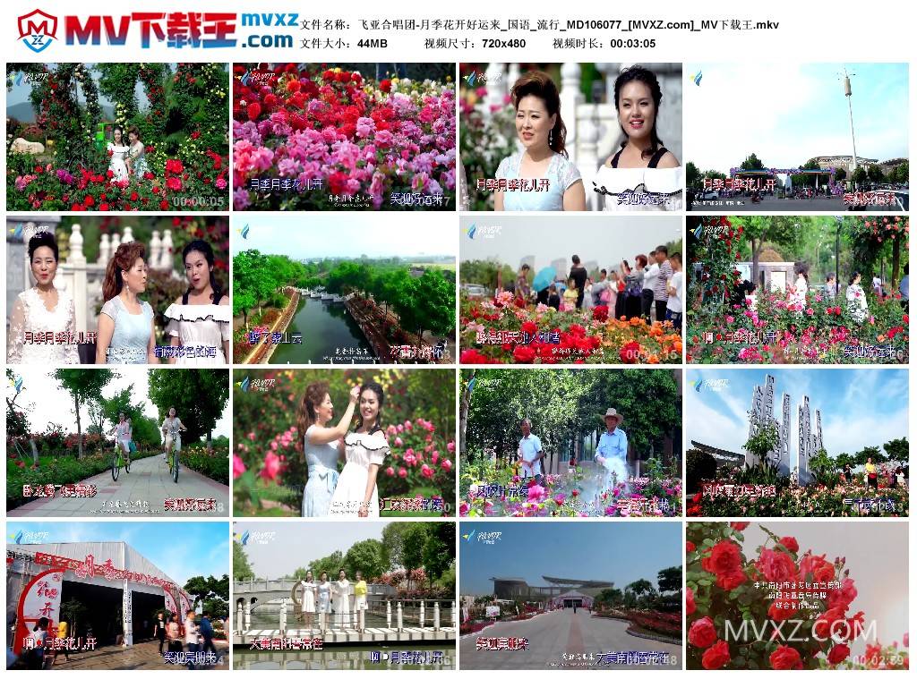 飞亚合唱团-月季花开好运来_国语_流行_MD106077